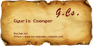 Gyuris Csenger névjegykártya